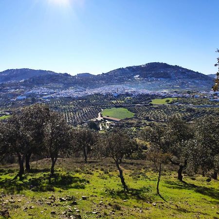 Cabeza la Vaca Casa Rural El Trepador Azul מראה חיצוני תמונה
